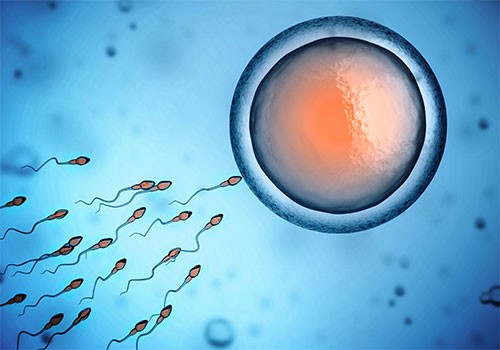 Σπερμοδιάγραμμα – Ειδικές εξετάσεις σπέρματος